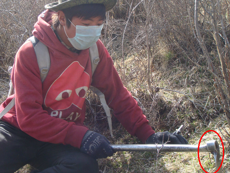 �������ڲ������r�x��,���r���x�ĲݵĈDƬ,���r���x�ĲݵĘ���