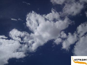 ���x�ĲݵĮa��-���������՚�ܝ���,��Ȼ�h(hu��n)���o��Ⱦ,���(y��u)�|�������x�ݮa��