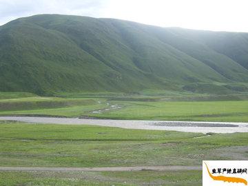 �����x�ݮa����Ȼ�L��,���x�Ĳݮa��