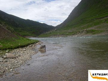 ���x�Ĳݮa��,������������h���d�l(xi��ng)�ǃ�(y��u)�|�x�ݵĮa��