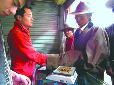 ���x�Ĳ��I�u,�����x�ݽ������Z(y��),�x���I�uӑ�r(ji��)߀�r(ji��)�ð��Z(y��)