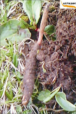 �����ڳ���(l��i)�Ķ��x�Ĳ�,�x��߀��������,�@�r(sh��)�Ķ��x�Ĳ�Ҳ�����r���x�Ĳ�